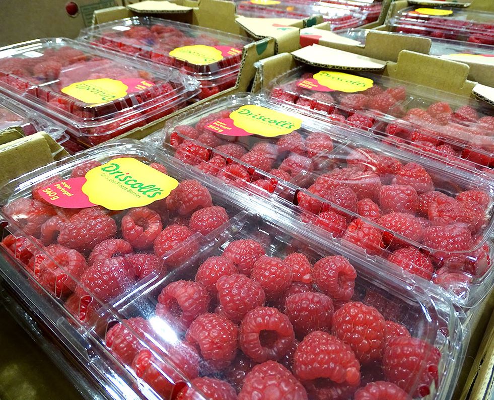 Costco France Villebonsuryvette 91140 (Essonne), 1 Avenue De Breha