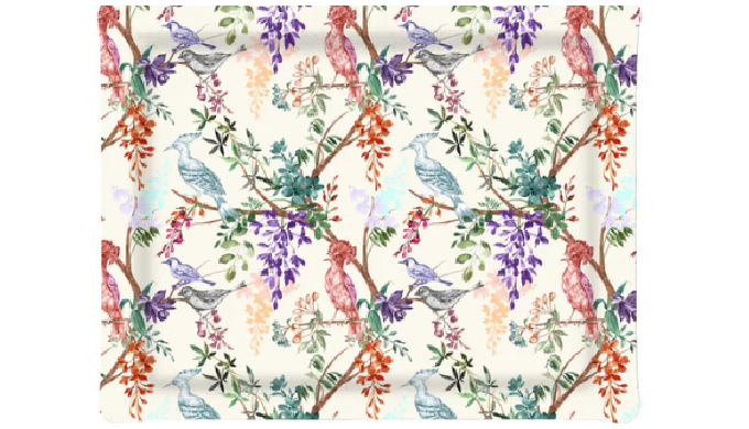 Plateaux acryliques pour particulier