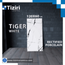 Cliquez sur l’image pour voir le catalogue