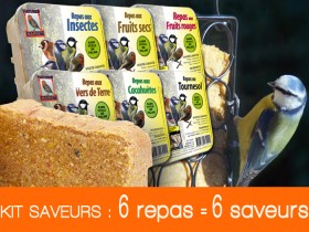 Nourritures pour oiseaux