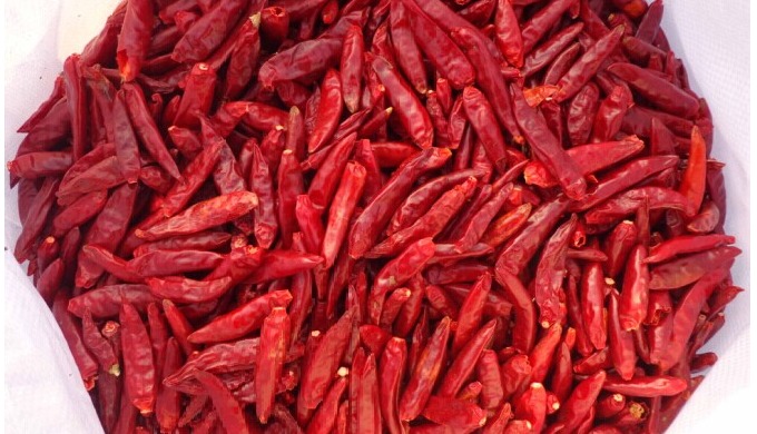 Product Type: Single Herbs & Spices Preservation Process: BRINE Style: Pickled Processing Type: ...