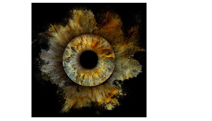 NUANCES D'IRIS - Photographie