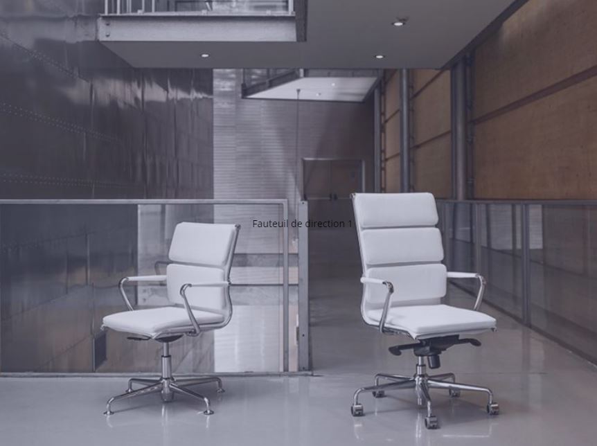 Fauteuils de direction de WDS 