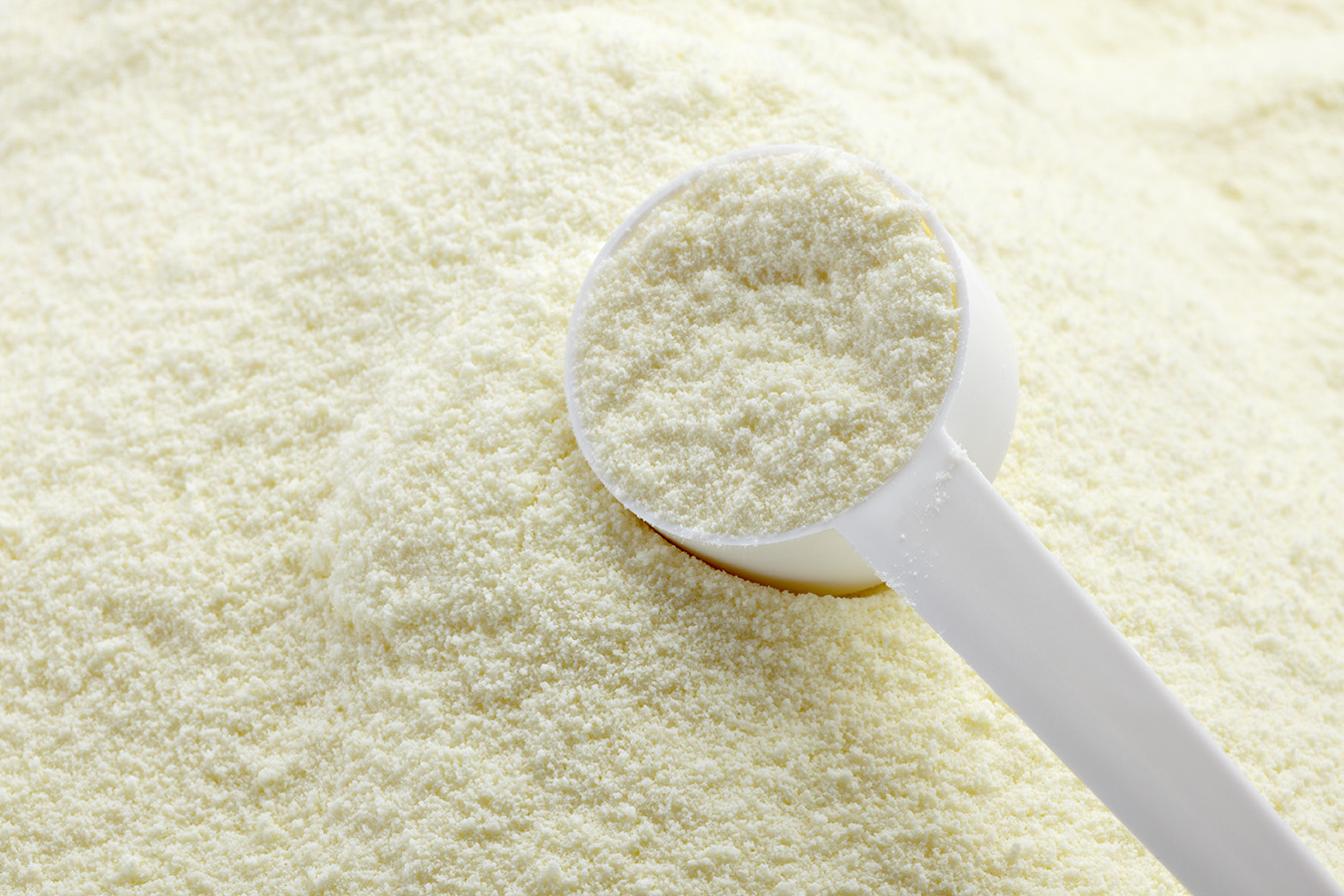 Instant fat filled dairy preparation