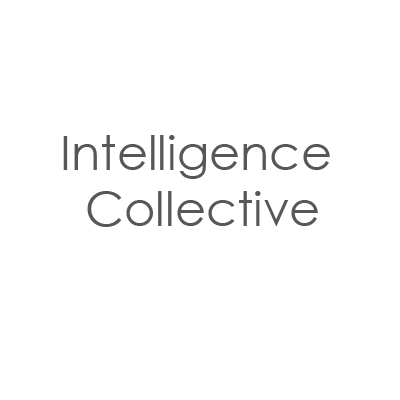 Intelligence Collective