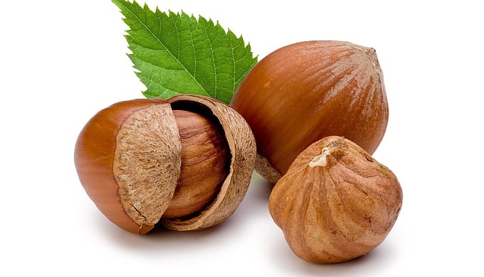 Fındık