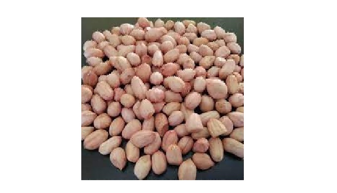 All different types of Groundnut seeds / Peanuts