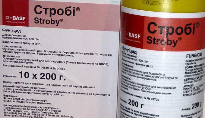 Cтроби фунгицид относится к группе фунгицидов локально системного действия. Спектр заболеваний, с ко...