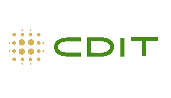 CDIT- Best IT Solutions and Services Company in Riyadh