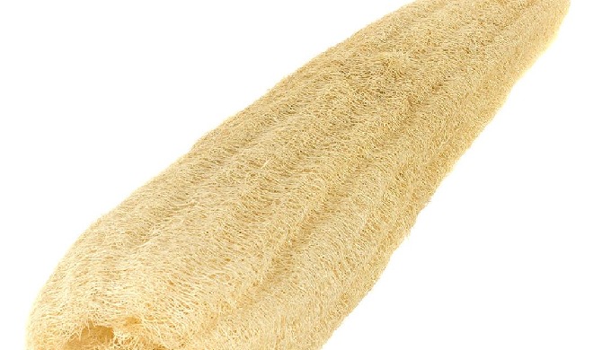 Quick Details Material: LOOFAH Type: Brush, Sponge Place of Origin: Ho Chi Minh City, Vietnam Brand ...