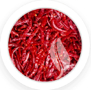 Chili / Red Pepper