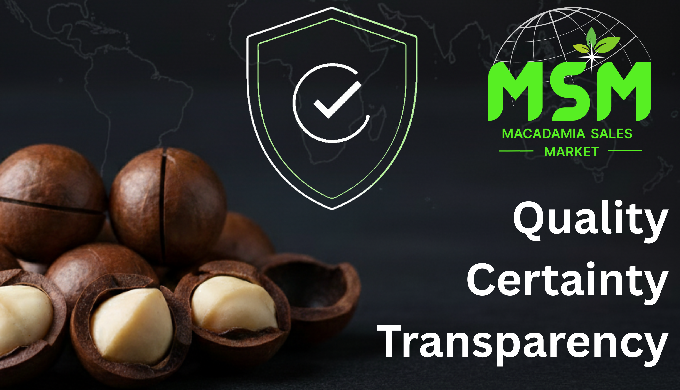 MSM is the first dedicated B2B trading platform for macadamia kernels, connecting verified African p...