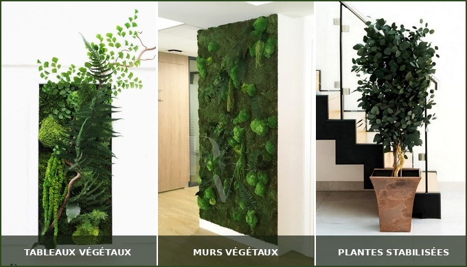 Atelier français de décoration végétale stabilisée depuis 2010 : tableaux végétaux, murs végétaux et...