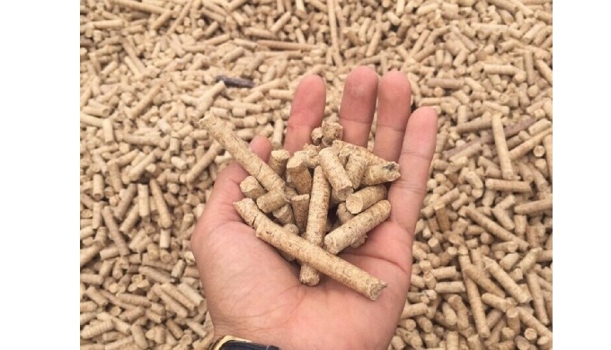 Viên nén gỗ hay còn được gọi là viên nén gỗ ép, viên nén gỗ ép, là viên đốt chất đốt, một loại gỗ si...