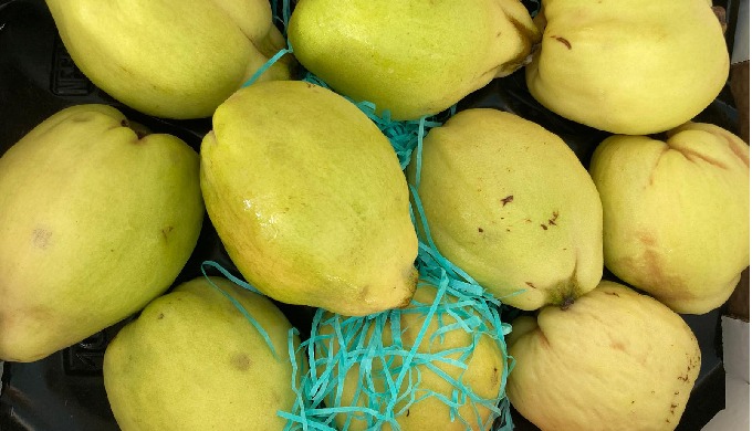 Quince, the hidden gem of the fruit world, is known for its unique flavor and versatility. Our quinc...