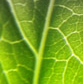 EnviroStripp Chemicals AB EnviroStripp är ett helägt dotterbolag ledande i Norden på egenutvecklade ...