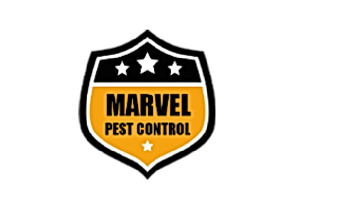 Marvel Control Ltd is a pest control company that specialises in providing expert residential and co...