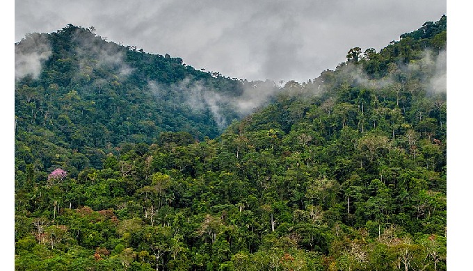For the intrepid traveler, Machu Picchu Amazon Peru curates itineraries that range from day trips to...
