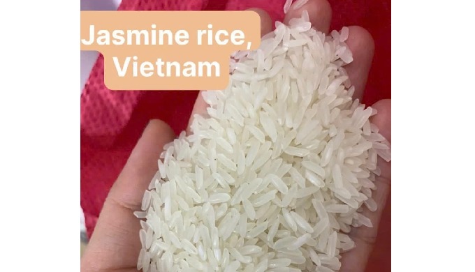 Product ready for delivery We are providing a wide range of RICE: Perfumed Rice: ST25, ST24, Jasmine...