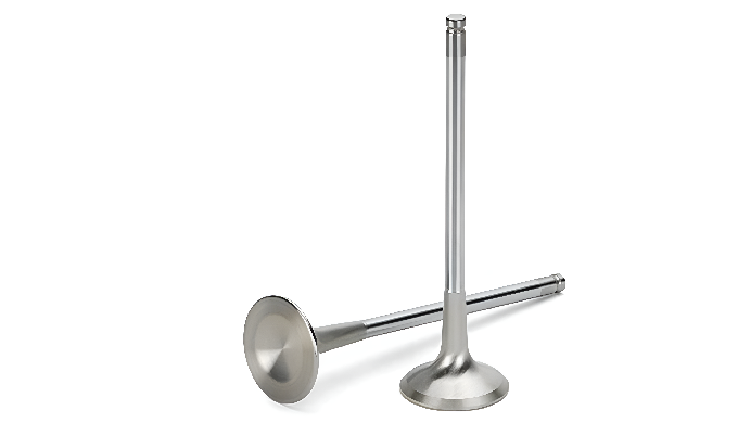 Our Locomotive Engine Valves are heavy-duty components engineered for high-performance railway diese...