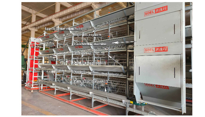 500+ Global Farms Trusted Automation Expert. EU-certified layer cages, smart climate control → 15% l...