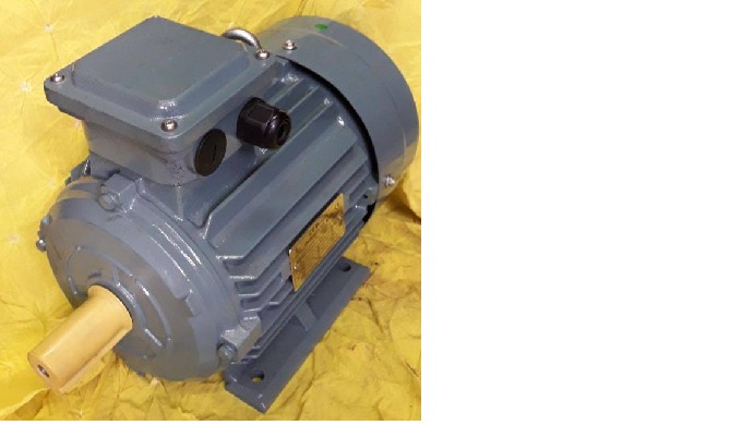 We have all types of MARINE purpose Induction Motors.