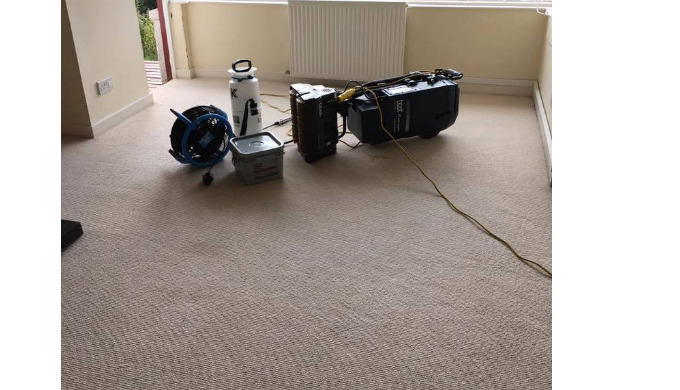 We use both wet carpet and dry eco-friendly carpet cleaning for the very best results. We will deep ...