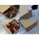 Ecos Co., Ltd