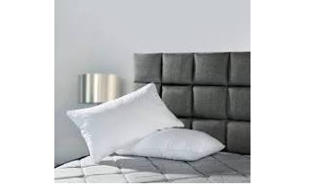Sleep with Sunidra to wake up to a good day. Sunidra Polly Fiber Pillow Ultra Soft (24x16 Inch) Whit...