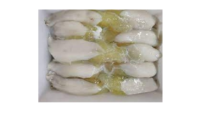 Variety: Squid Type: Squid eggs Packing: Customizable Style: FROZEN Packaging: Vacuum Pack Shelf Lif...