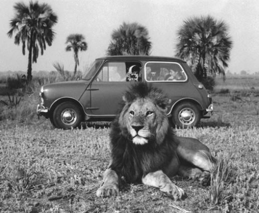 Voyages sur mesure en famille avec MAMAN L'AGENCE 