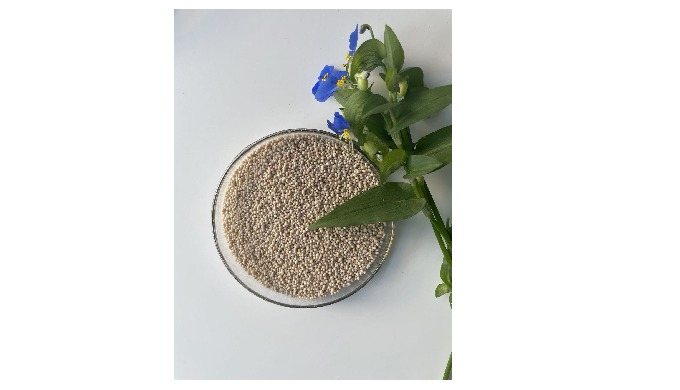 Rumen-protected L y sine 50% Lysine and methionine are both the first limited amino acids of high-yi...
