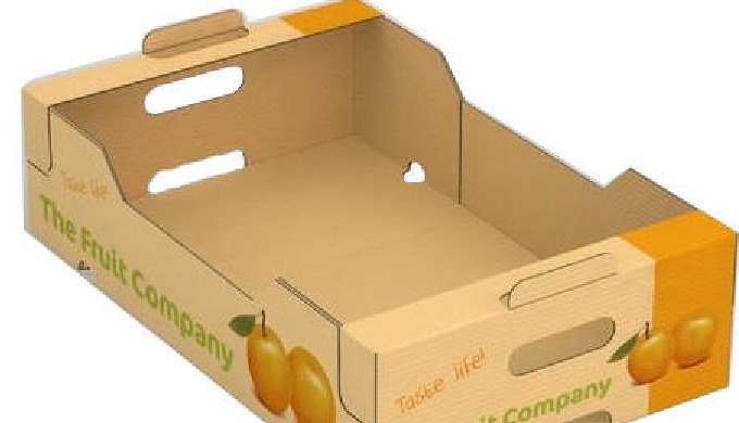 Barquettes pour les produits laitiers Plateaux pour les fruits et légumes