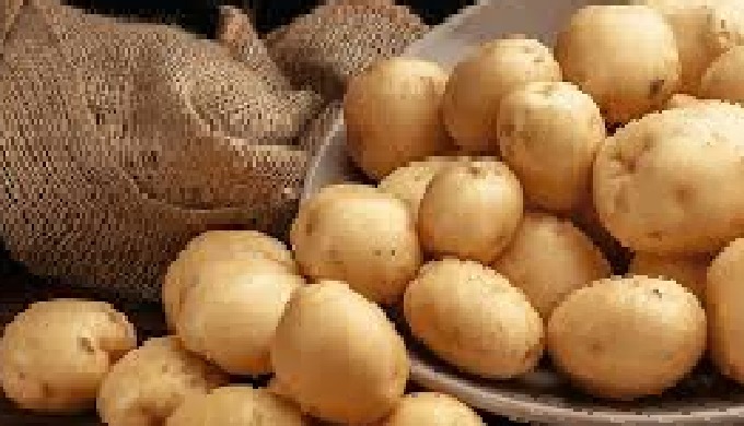 Madhya Pradesh potatoes are known for their low sugar content, and the city has many cold storages t...