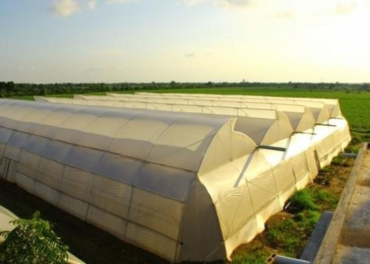Govind Greenhouse Pvt. Ltd. is a trusted name in advanced protected cultivation solutions, offering ...