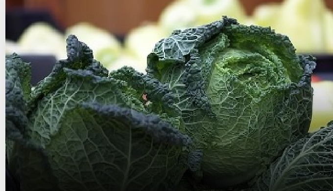 Mercairuña alberga diferentes empresas dedicadas a la comercialización de frutas y verduras frescas.