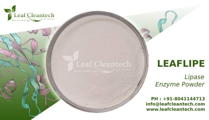 Lipase, an enzyme crucial in the breakdown of fats (lipids), plays a significant role in the food an...