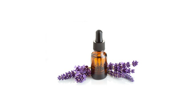 Lavender essential oil (Bulgarian) is obtained through steam distilling the lavender plant. Lavender...