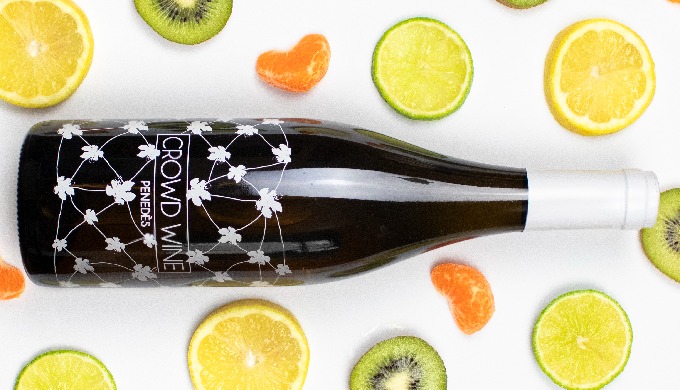 Vino blanco monovarietal elaborado a partir de la uva autóctona Macabeo. En boca es sabroso, frutoso...