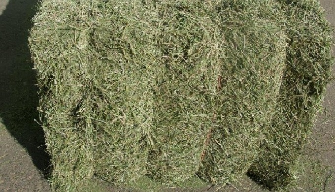 Vendemos paja de trigo y Alfalfa en todo el mundo, en paquetes de 800, 400 kgs y 28 kgs. Calidad Gol...