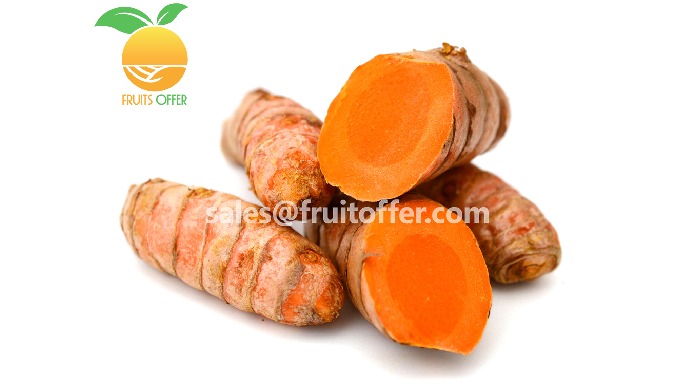 Product: Whole Fresh Turmeric Export Type: Delivered FRESH, in containers 20'FCL / 40'FCL Origin: Vi...