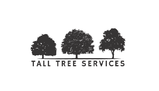 At Tall Tree Services Ltd, we are dedicated to maintaining the beauty and safety of your outdoor spa...
