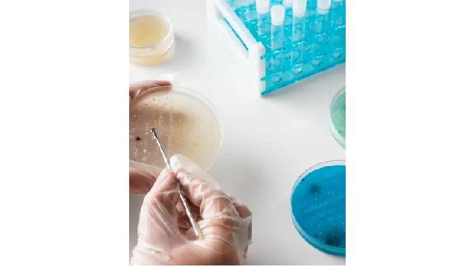 Complementos nutricionales - Iberidia