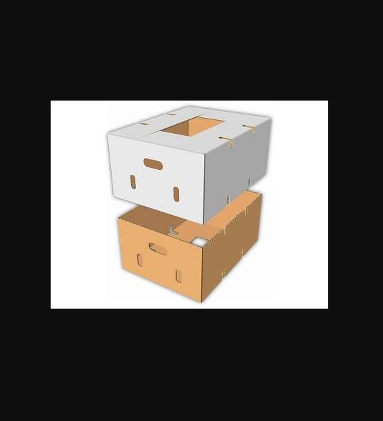 Bushel et caisse télescopique