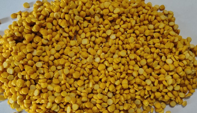 Buy premium Split Chickpea (Chana Dal) from Shri Shyam Corporation, your reliable Indian supplier fo...