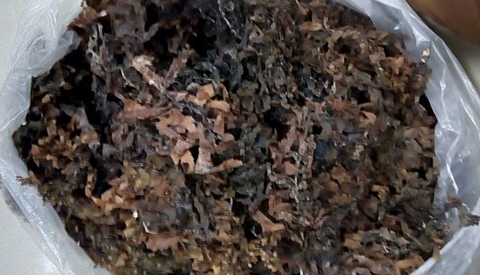 Product Type: Seaweed Variety: Laver Style: Dried Cultivation Type: Organic Processing Type: Seasone...