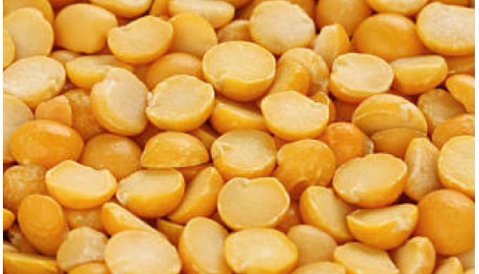 Buy Split Bengal Gram (Split Chickpeas) from Avinash Trade Overseas, a trusted global supplier. Our ...