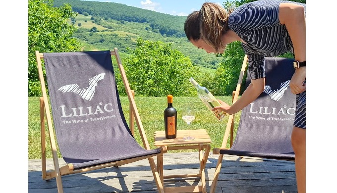Winetasting tours