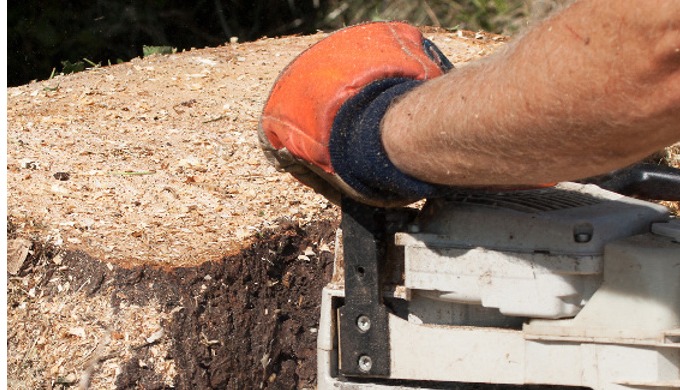 As part of TTS’s tree removal service, or as a stand-alone project, we offer a stump removal service...