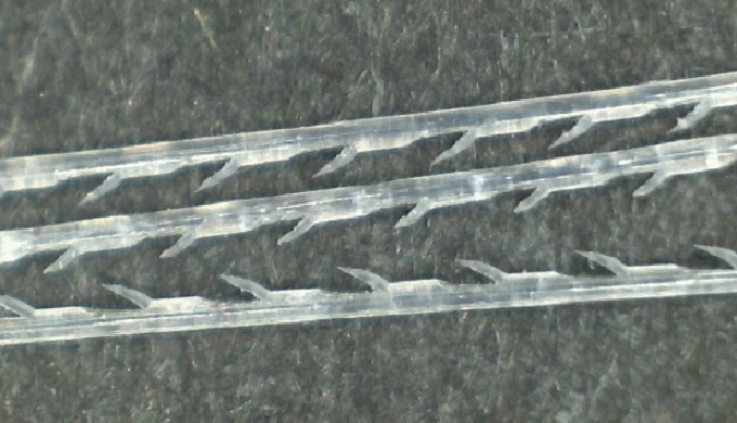 PLLA lasts about 18 months and one of the main feature that PLLA has is hardness. Since it has hard ...